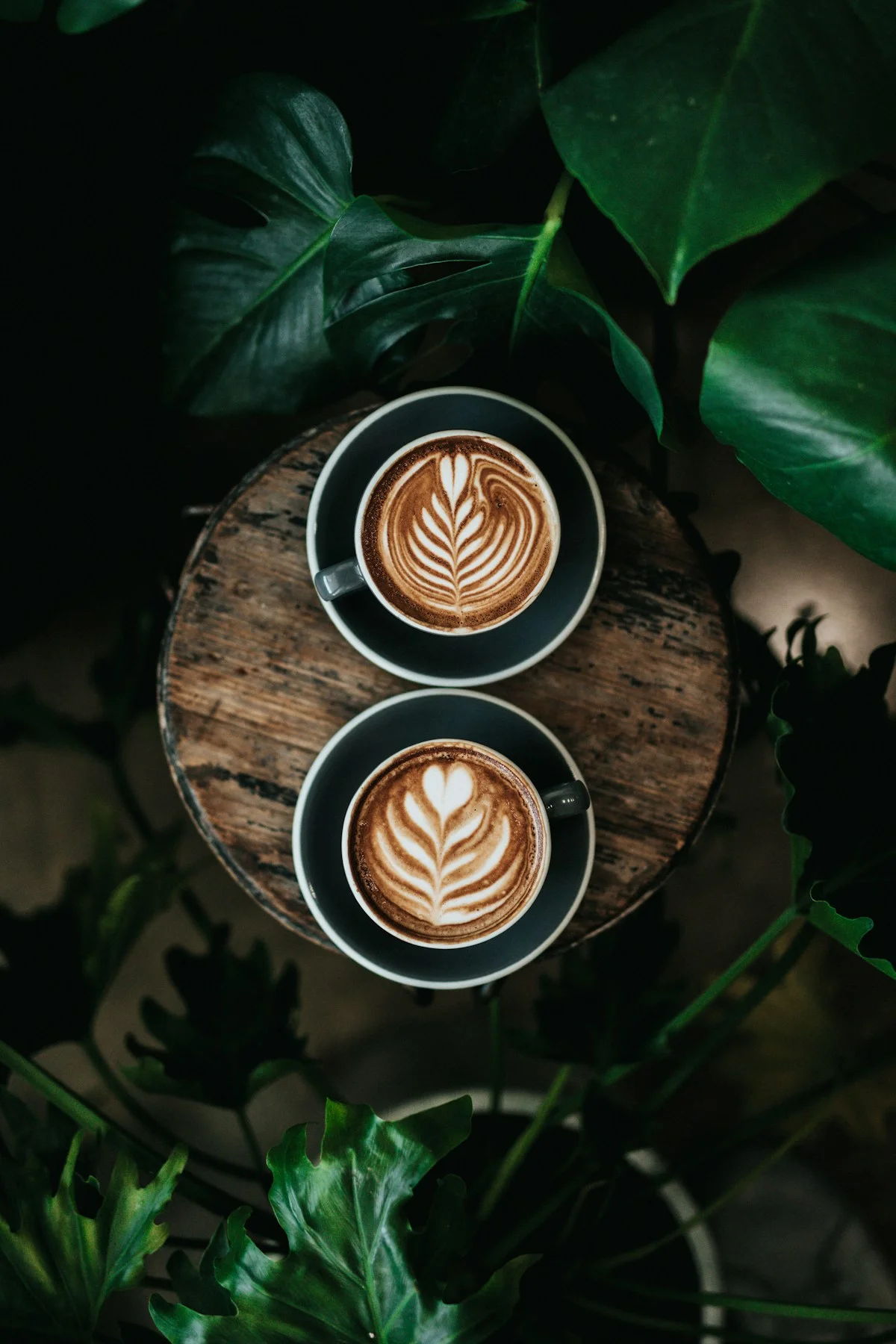 The Architecture of a 3-Minute Pour-Over